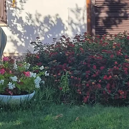 Casa de Férias Casetta Delle Fiabe