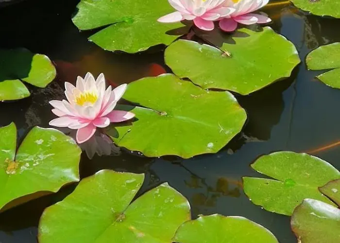 度假居 Casetta Delle Fiabe *