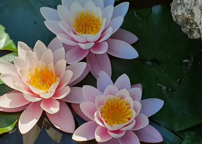 度假居 Casetta Delle Fiabe