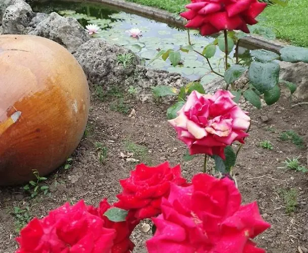 Casetta Delle Fiabe *